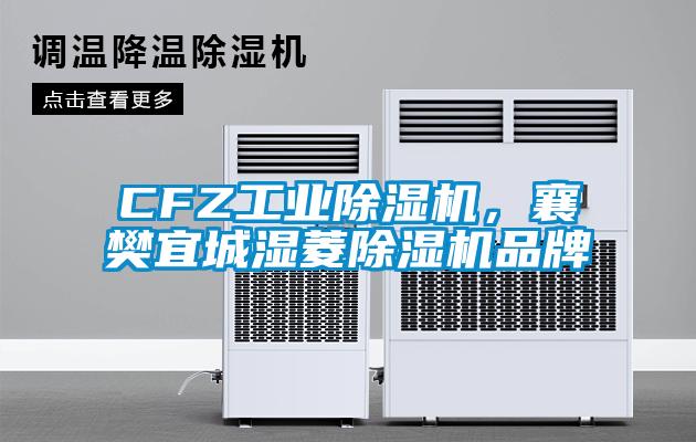 CFZ工業(yè)除濕機，襄樊宜城濕菱除濕機品牌