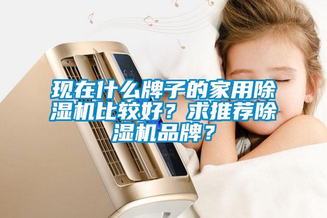 現在什么牌子的家用除濕機比較好？求推薦除濕機品牌？