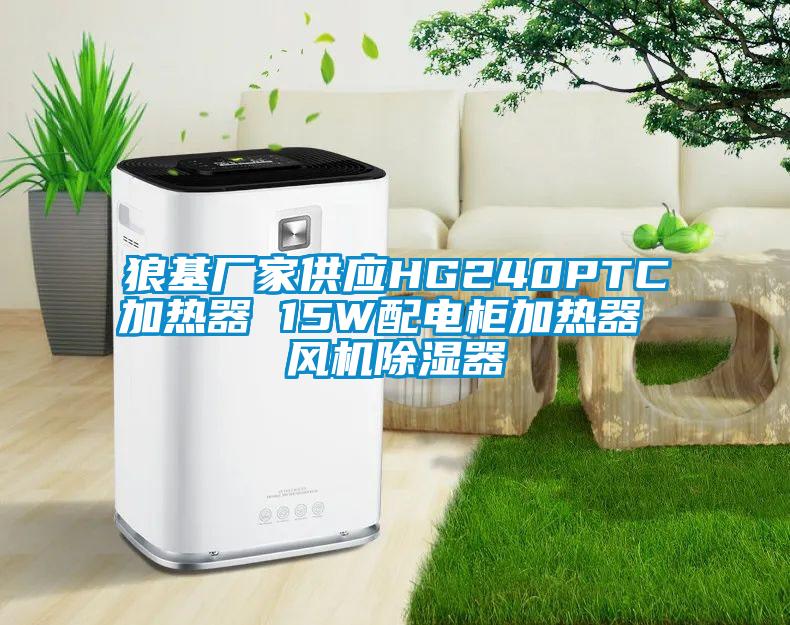 狼基廠家供應(yīng)HG240PTC加熱器 15W配電柜加熱器 風(fēng)機(jī)除濕器