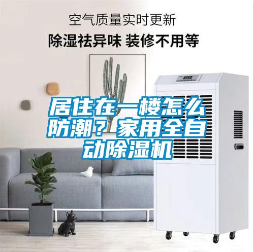 居住在一樓怎么防潮？家用全自動除濕機