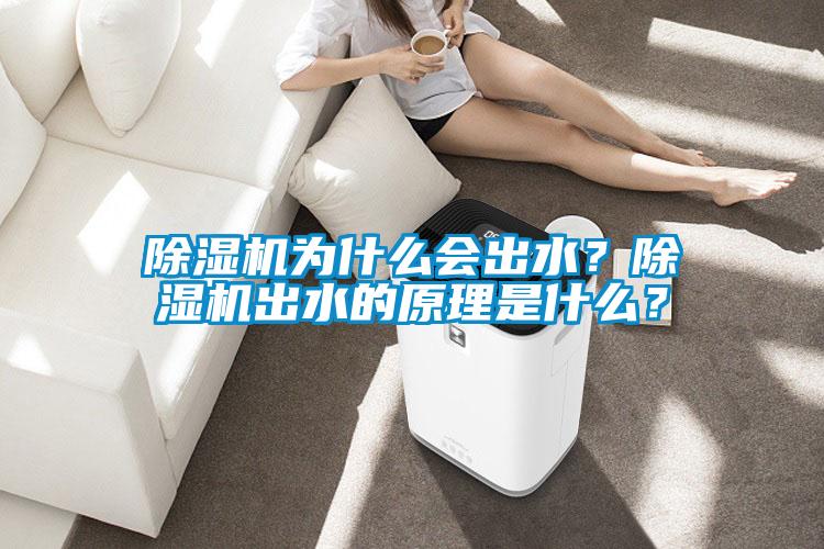 除濕機為什么會出水？除濕機出水的原理是什么？