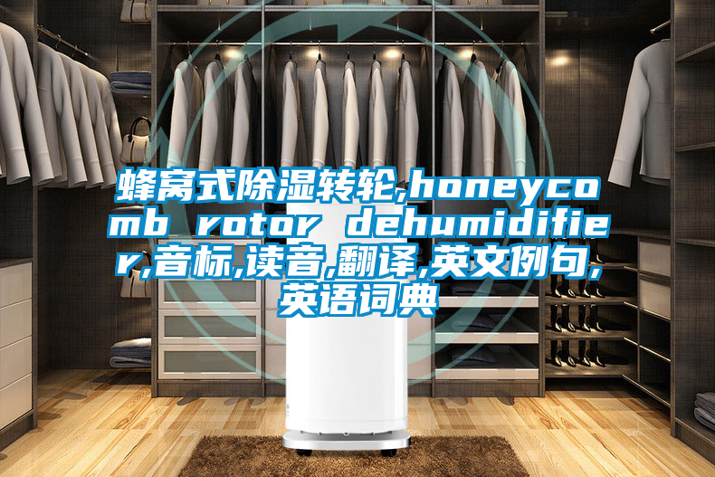 蜂窩式除濕轉(zhuǎn)輪,honeycomb rotor dehumidifier,音標,讀音,翻譯,英文例句,英語詞典