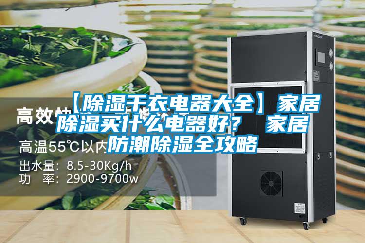 【除濕干衣電器大全】家居除濕買什么電器好？ 家居防潮除濕全攻略