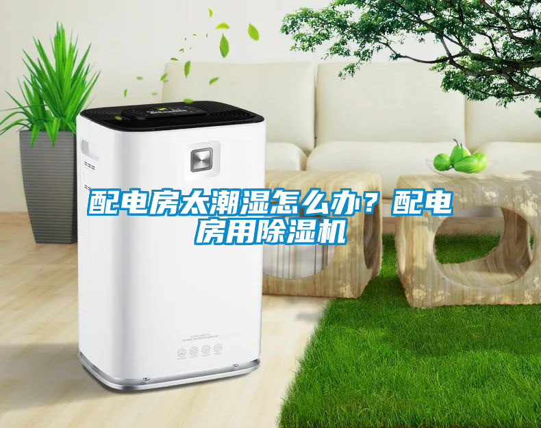 配電房太潮濕怎么辦？配電房用除濕機