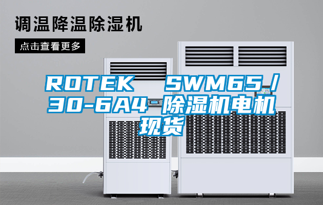 ROTEK  SWM65／30-6A4 除濕機電機現(xiàn)貨