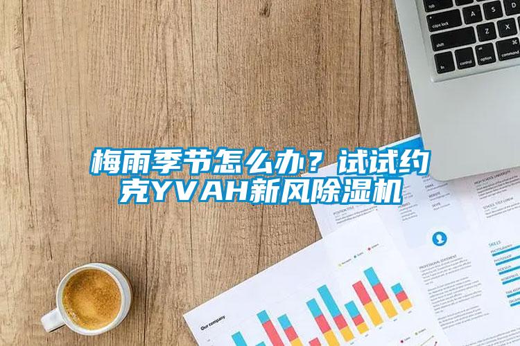 梅雨季節(jié)怎么辦？試試約克YVAH新風除濕機