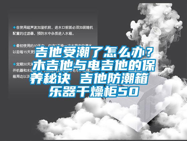 吉他受潮了怎么辦？木吉他與電吉他的保養(yǎng)秘訣 吉他防潮箱 樂器干燥柜50