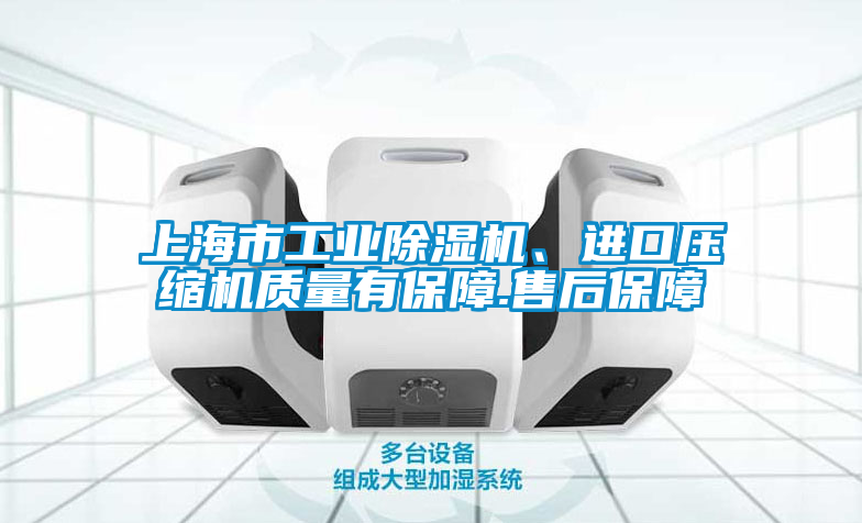 上海市工業(yè)除濕機、進口壓縮機質(zhì)量有保障.售后保障