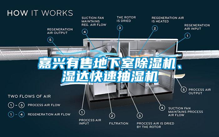 嘉興有售地下室除濕機、濕達快速抽濕機