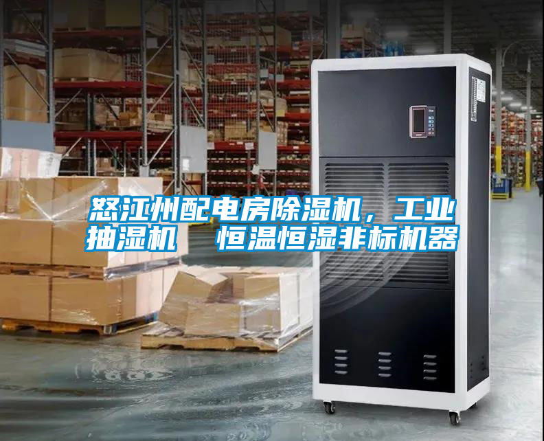 怒江州配電房除濕機，工業(yè)抽濕機  恒溫恒濕非標(biāo)機器