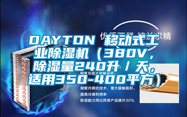 DAYTON 移動(dòng)式工業(yè)除濕機(jī)（380V，除濕量240升／天，適用350-400平方）