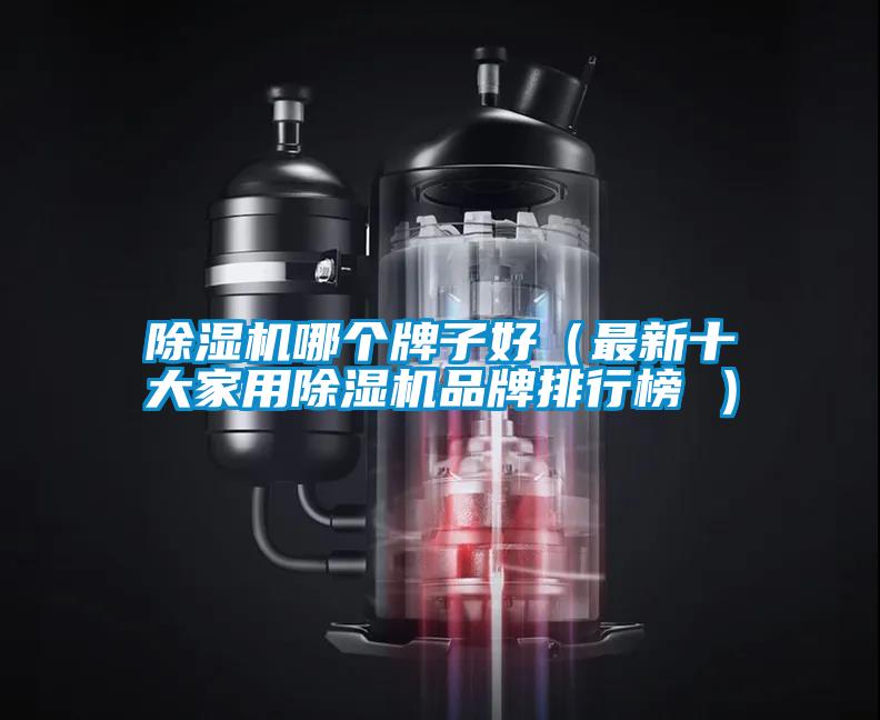 除濕機(jī)哪個(gè)牌子好（最新十大家用除濕機(jī)品牌排行榜 ）