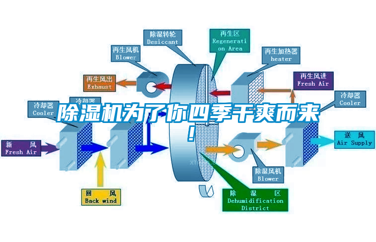 除濕機為了你四季干爽而來！