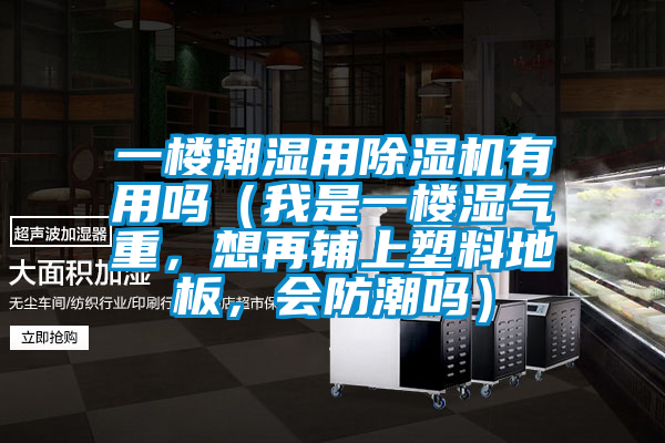 一樓潮濕用除濕機有用嗎（我是一樓濕氣重，想再鋪上塑料地板，會防潮嗎）