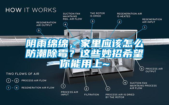 陰雨綿綿，家里應(yīng)該怎么防潮除霉？這些妙招希望你能用上~