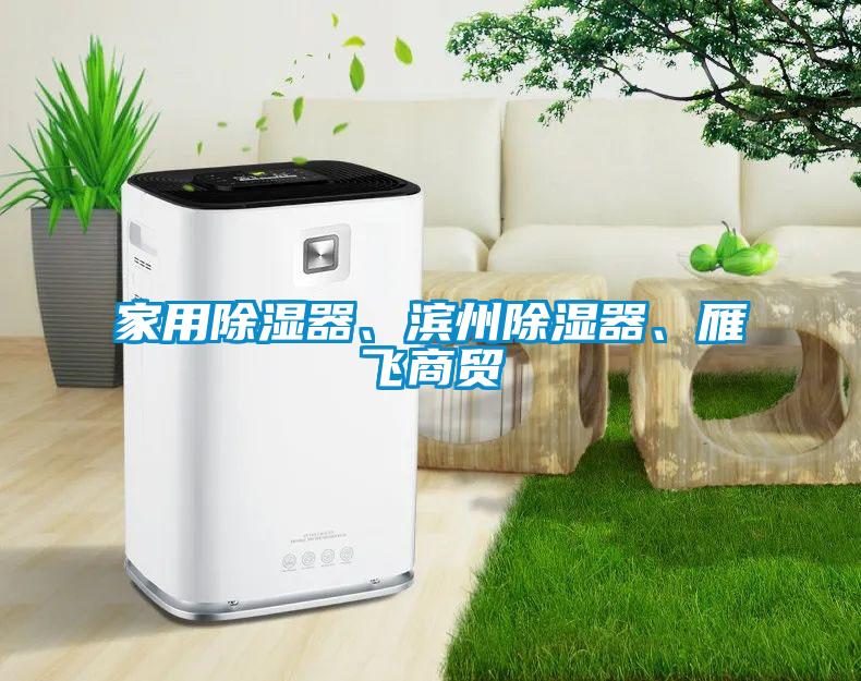 家用除濕器、濱州除濕器、雁飛商貿(mào)