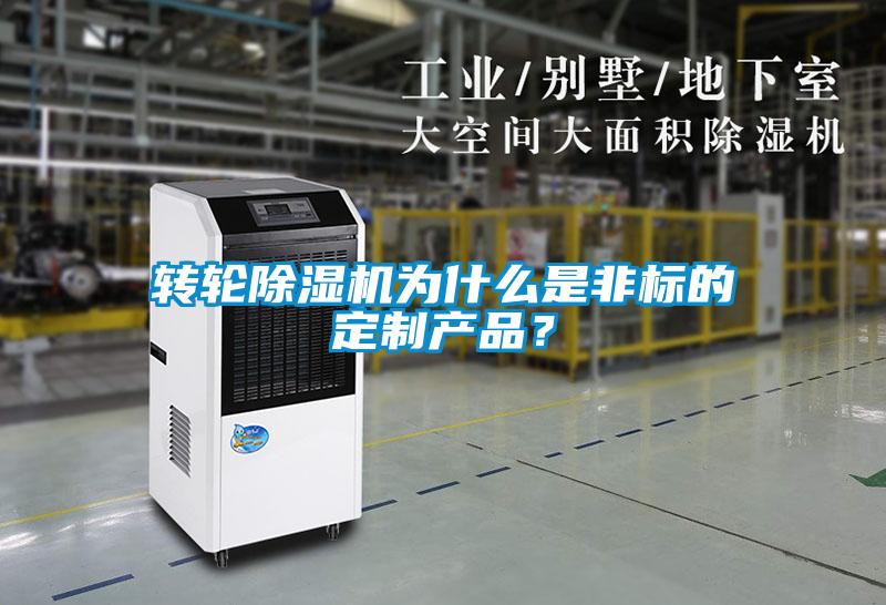 轉輪除濕機為什么是非標的定制產品？