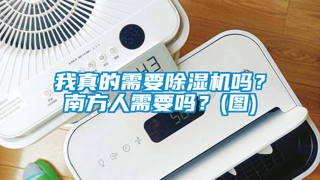 我真的需要除濕機嗎？南方人需要嗎？(圖)