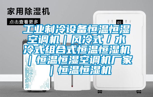 工業(yè)制冷設備恒溫恒濕空調機｜風冷式／水冷式組合式恒溫恒濕機｜恒溫恒濕空調機廠家｜恒溫恒濕機