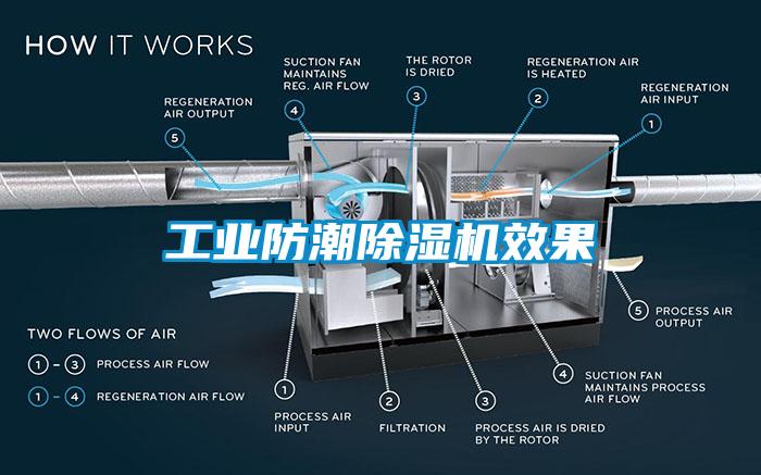 工業(yè)防潮除濕機(jī)效果