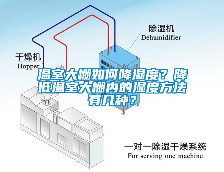 溫室大棚如何降濕度？降低溫室大棚內的濕度方法有幾種？