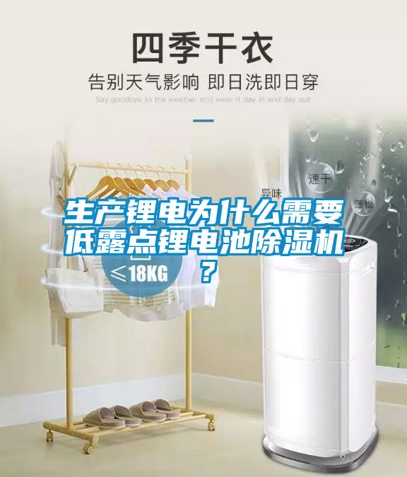 生產(chǎn)鋰電為什么需要低露點鋰電池除濕機？