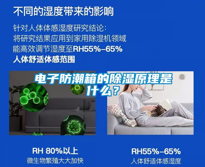 電子防潮箱的除濕原理是什么？