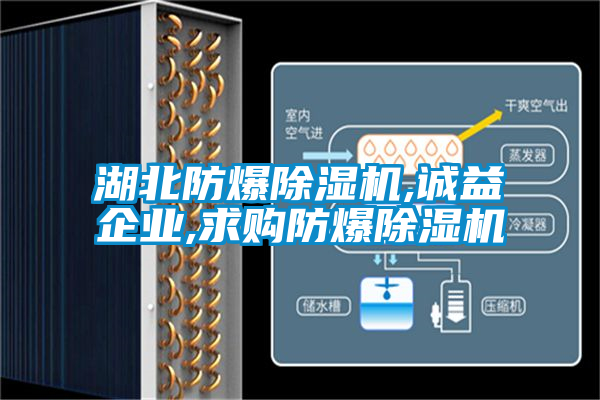 湖北防爆除濕機(jī),誠益企業(yè),求購防爆除濕機(jī)