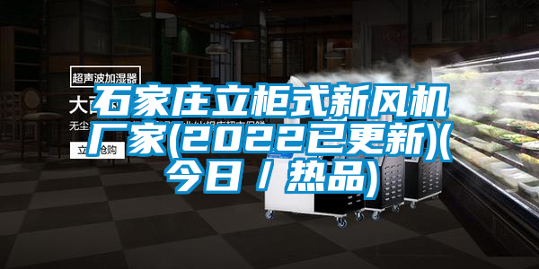 石家莊立柜式新風(fēng)機(jī)廠家(2022已更新)(今日／熱品)