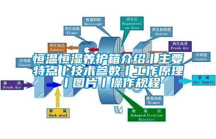 恒溫恒濕養(yǎng)護箱介紹丨主要特點丨技術參數(shù)丨工作原理丨圖片丨操作規(guī)程