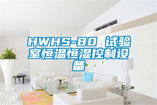 HWHS-80 試驗室恒溫恒濕控制設(shè)備