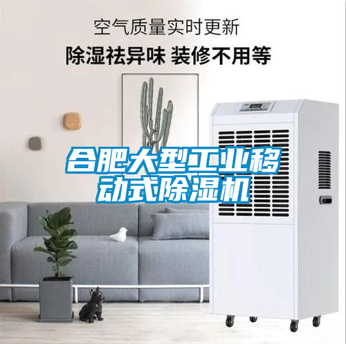 合肥大型工業(yè)移動式除濕機