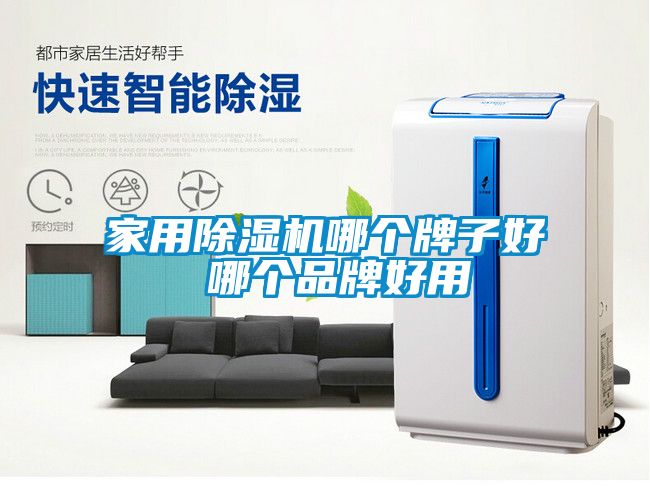 家用除濕機哪個牌子好 哪個品牌好用