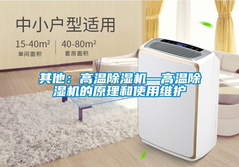 其他：高溫除濕機—高溫除濕機的原理和使用維護