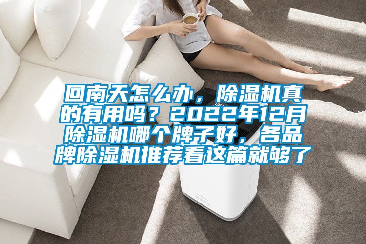 回南天怎么辦，除濕機真的有用嗎？2022年12月除濕機哪個牌子好，各品牌除濕機推薦看這篇就夠了