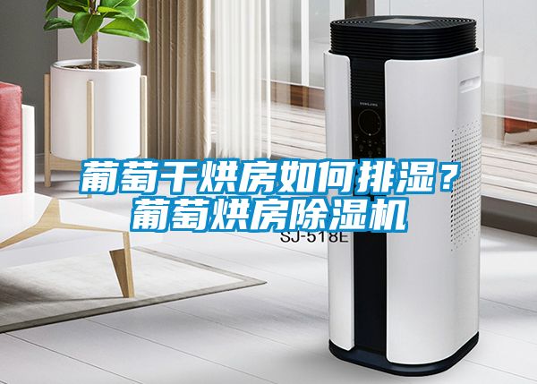 葡萄干烘房如何排濕？葡萄烘房除濕機