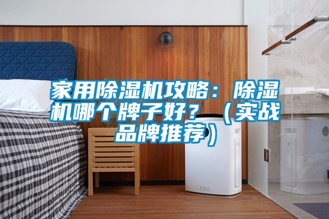 家用除濕機攻略：除濕機哪個牌子好？（實戰(zhàn)品牌推薦）