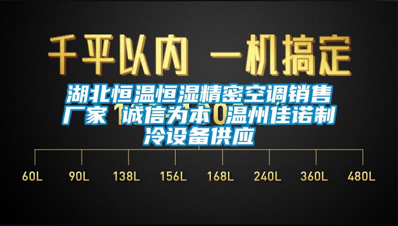 湖北恒溫恒濕精密空調(diào)銷(xiāo)售廠家 誠(chéng)信為本 溫州佳諾制冷設(shè)備供應(yīng)