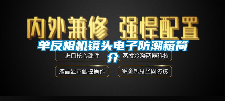 單反相機鏡頭電子防潮箱簡介