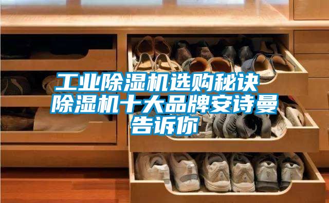 工業(yè)除濕機(jī)選購秘訣 除濕機(jī)十大品牌安詩曼告訴你