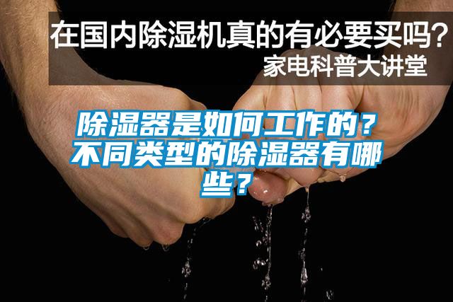 除濕器是如何工作的？不同類型的除濕器有哪些？