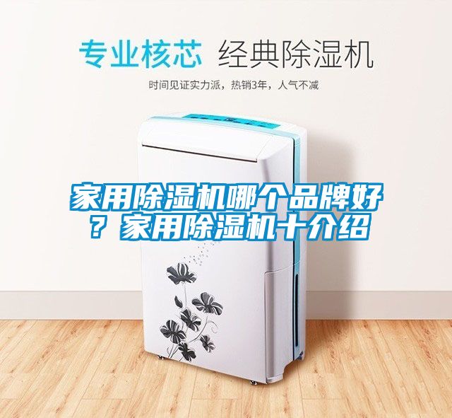 家用除濕機哪個品牌好？家用除濕機十介紹