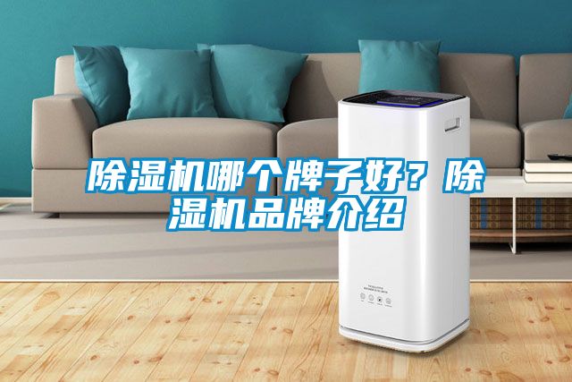 除濕機哪個牌子好？除濕機品牌介紹