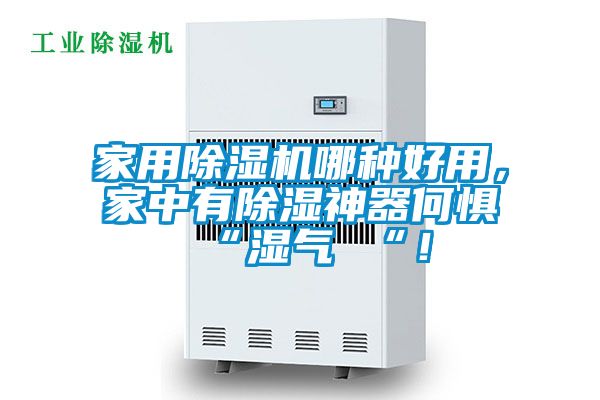 家用除濕機(jī)哪種好用，家中有除濕神器何懼 “濕氣 “！