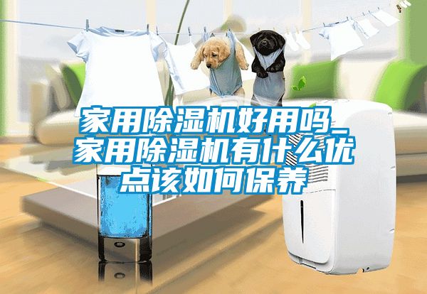 家用除濕機(jī)好用嗎_家用除濕機(jī)有什么優(yōu)點(diǎn)該如何保養(yǎng)