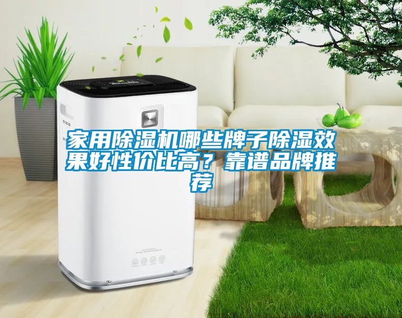 家用除濕機(jī)哪些牌子除濕效果好性價比高？靠譜品牌推薦