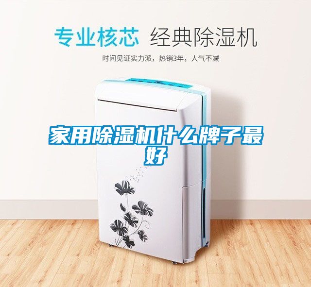 家用除濕機什么牌子最好