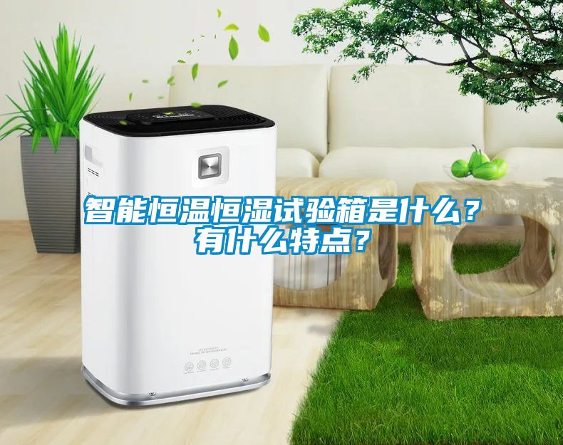 智能恒溫恒濕試驗(yàn)箱是什么？有什么特點(diǎn)？