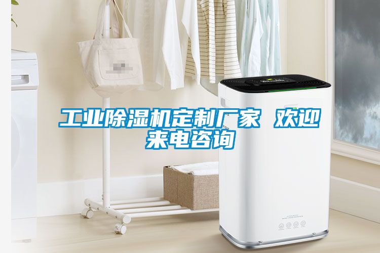 工業(yè)除濕機(jī)定制廠家 歡迎來電咨詢