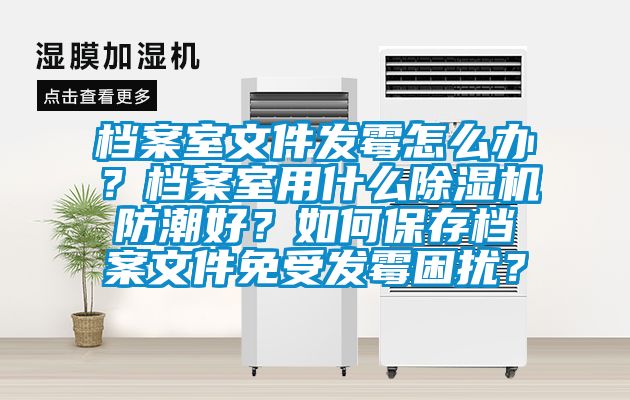 檔案室文件發(fā)霉怎么辦？檔案室用什么除濕機防潮好？如何保存檔案文件免受發(fā)霉困擾？